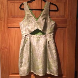 Rose Embroidered Dress